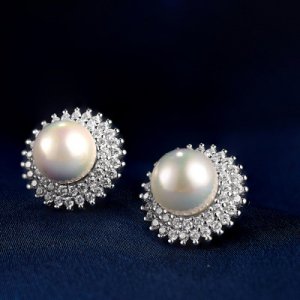 The Fashion Design 925 Sterling Silver Earrings